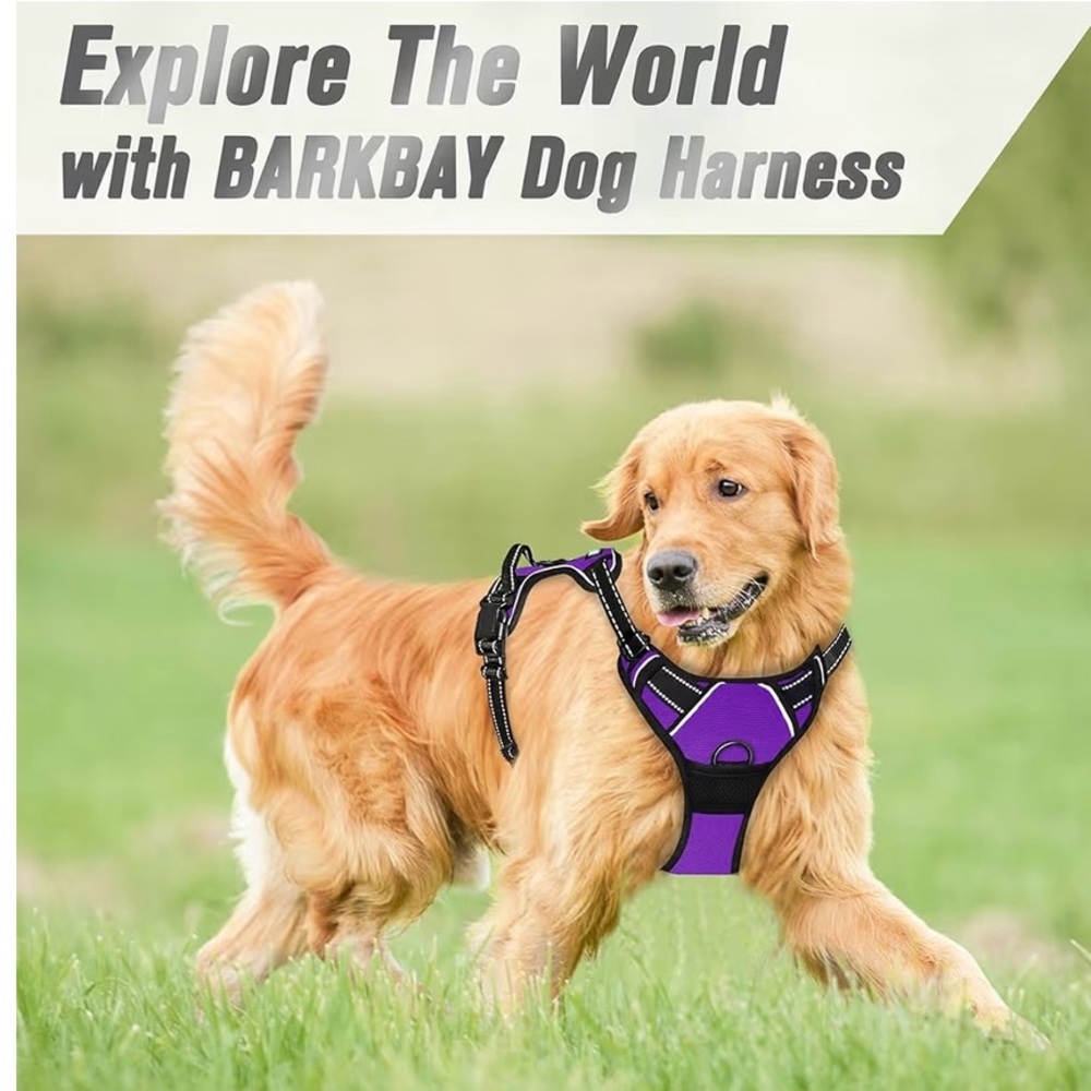 Reduced!! Purple Dog Harness